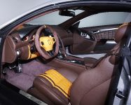 Aston Martin Cygnet And Colette Limited Edition 2013